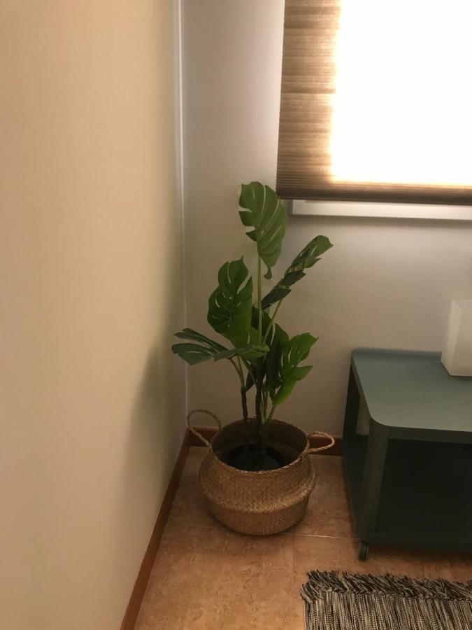 Apartamento Recien Reformado Con Vistas Al Rio Балагер Екстериор снимка